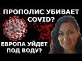 Чипы помогут людям? Ангелы питаються болю? Перезалив стрим