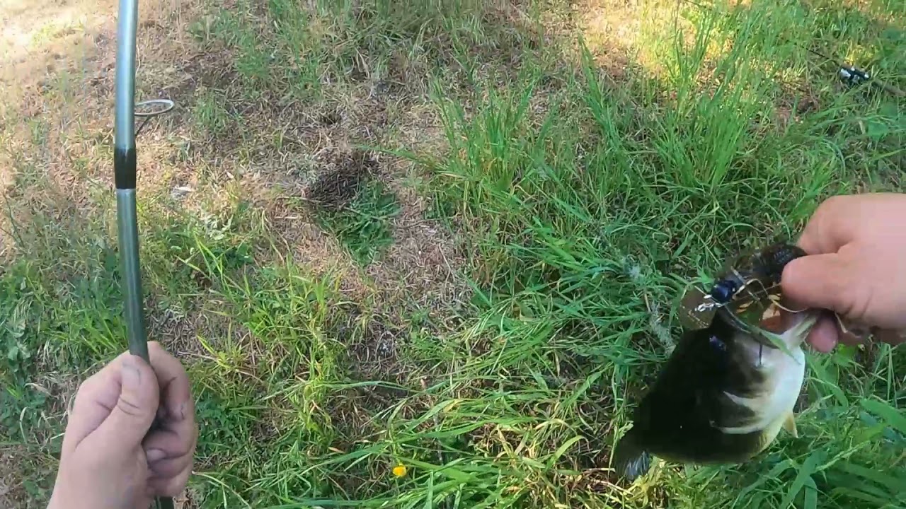 Crazy Cast To Catches + Underwater Releases Using Some Of My Favorite Nikko Baits & Setups!