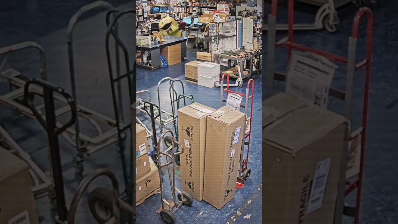 Win or Lose | Now Available on Disney+