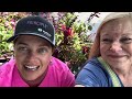 Hummingbird Haven w/Julie and Laurel