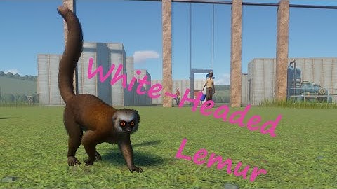 White Headed Lemur by Leaf - Planet Zoo Mod