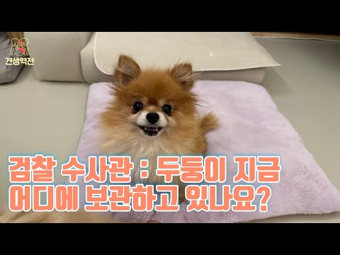 두둥이 지금 어디에 보관하고있나요? 왜 번식장에 안돌려주죠?