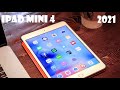 Стоит ли покупать iPad mini 4 в 2021 году? Актуальность iPad mini 4