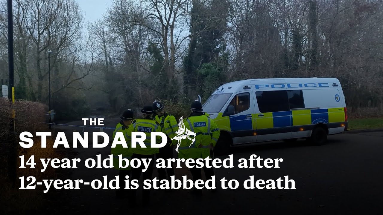 Birmingham stabbing: Boy 14 arrested on suspicion of murder after 12 ...