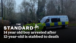 Birmingham stabbing: Boy 14 arrested on suspicion of murder after 12 year old stabbed to death