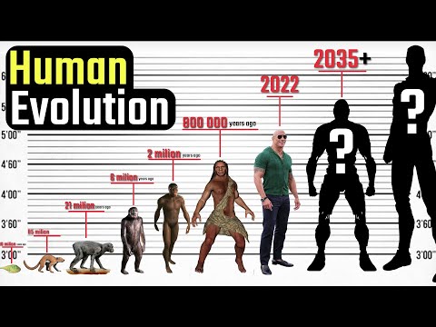 Human Evolution. From the Deep Antiquity to the Distant Future