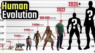 Human Evolution. From the Deep Antiquity to the Distant Future screenshot 5