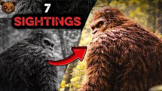 7 Chilling Bigfoot Sightings Caught on Camera No One Can Explain! (You Decide) Noticias