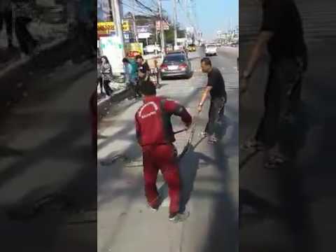 A gigantic python is removed after wrapping itself around a car engine.