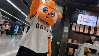 Out to the Yomiuri Giants Ballgame in Tokyo, Japan