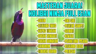 MASTERAN KOLIBRI NINJA TERBAIK BUAT MATERI LOMBA SUARA JERNIH ISIAN MEWAH BIKIN JUARA