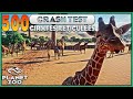 500 girafes dans un enclos cest difficile  crash test  planet zoo