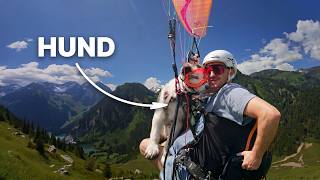 Paragleiten mit Hund: Das größte Abenteuer unseres Lebens mit Welpe Skye! 🐶🪂
