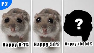 Sad Hamster Becomes Happy by TurbiMark 247,259 views 4 weeks ago 32 seconds