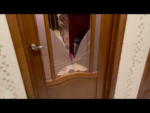 Где заказать замену разбитого стекла в межкомнатной двери?