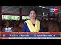 Gir Cow farm kannada | A2 Milk | ದೇಸಿ ಗೀರ್ ದನಗಳ ಸಂಜೀವಿನಿ ಫಾರ್ಮ್..!