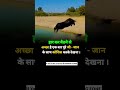 Motivational video for life ll inspirational video for life 🔥💯🎯#motivation #shortsfeed#short #viral