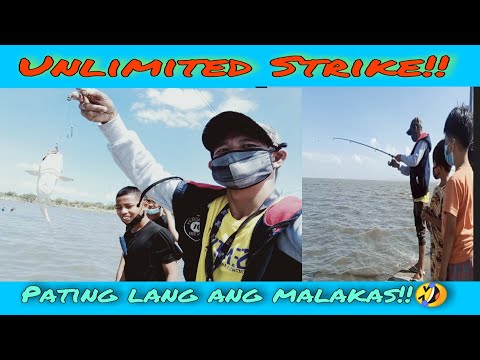 Video: Isinasaalang-alang Ng Komisyon Ng Isda At Wildlife Ng Florida Ang Mga Paghihigpit Sa Pangingisda Ng Pating