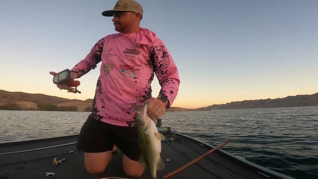 Lake Mohave Bass Fishing!