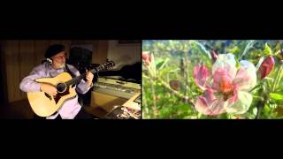 APPLEGARDEN MIRACLE Yamaha A3R acoustic guitar fingerpicking CGCGCF SUNNYROSE