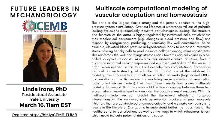 Future Leaders in Mechanobiology Seminar: Linda Ir...