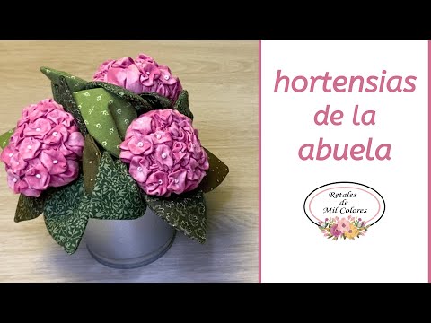 Video: Hortensia lilled – mis saaks olla ilusam?