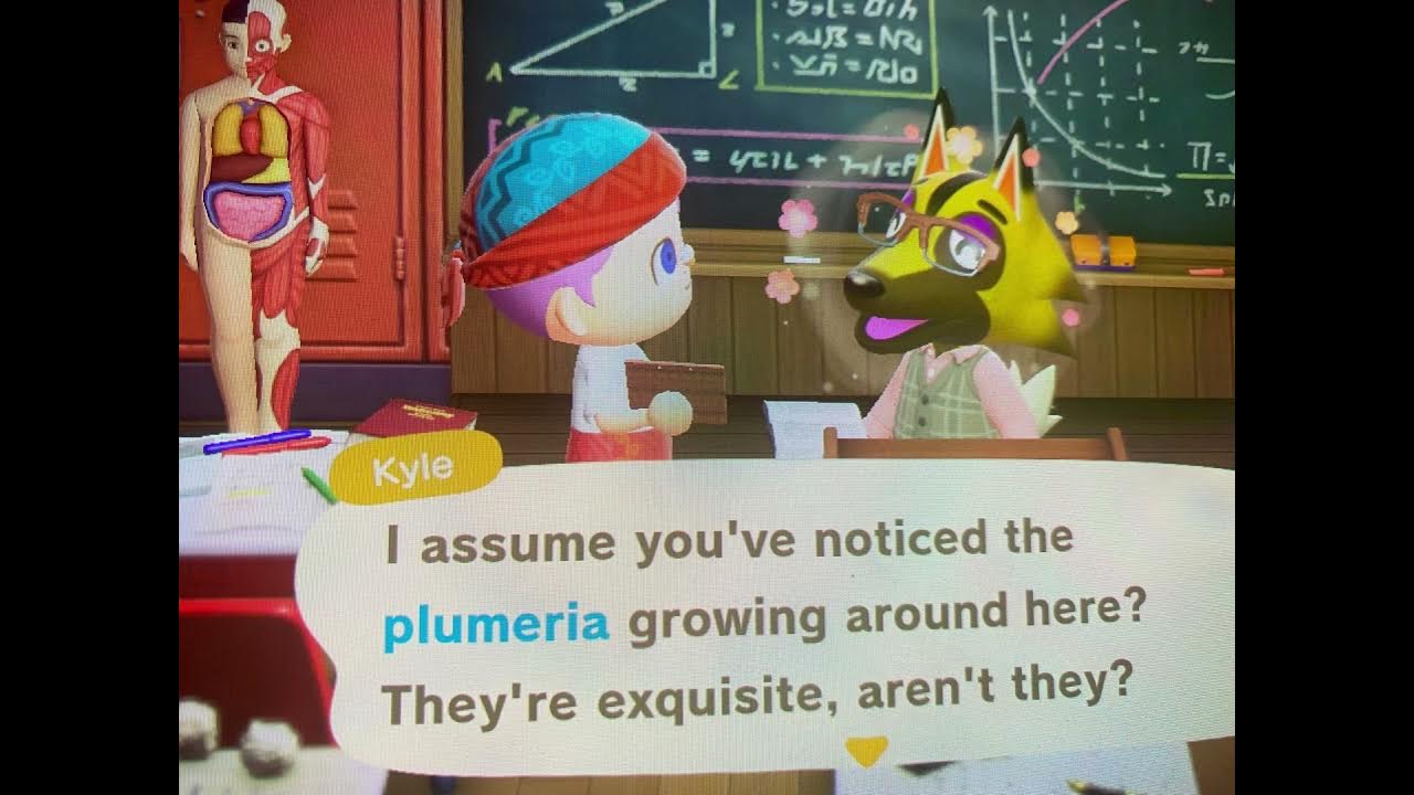 Thanks Kyle // Acnh YouTube