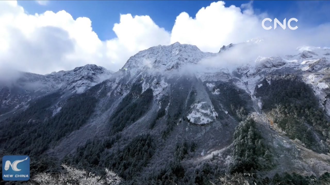 Tibet és a 2. típusú cukorbetegség