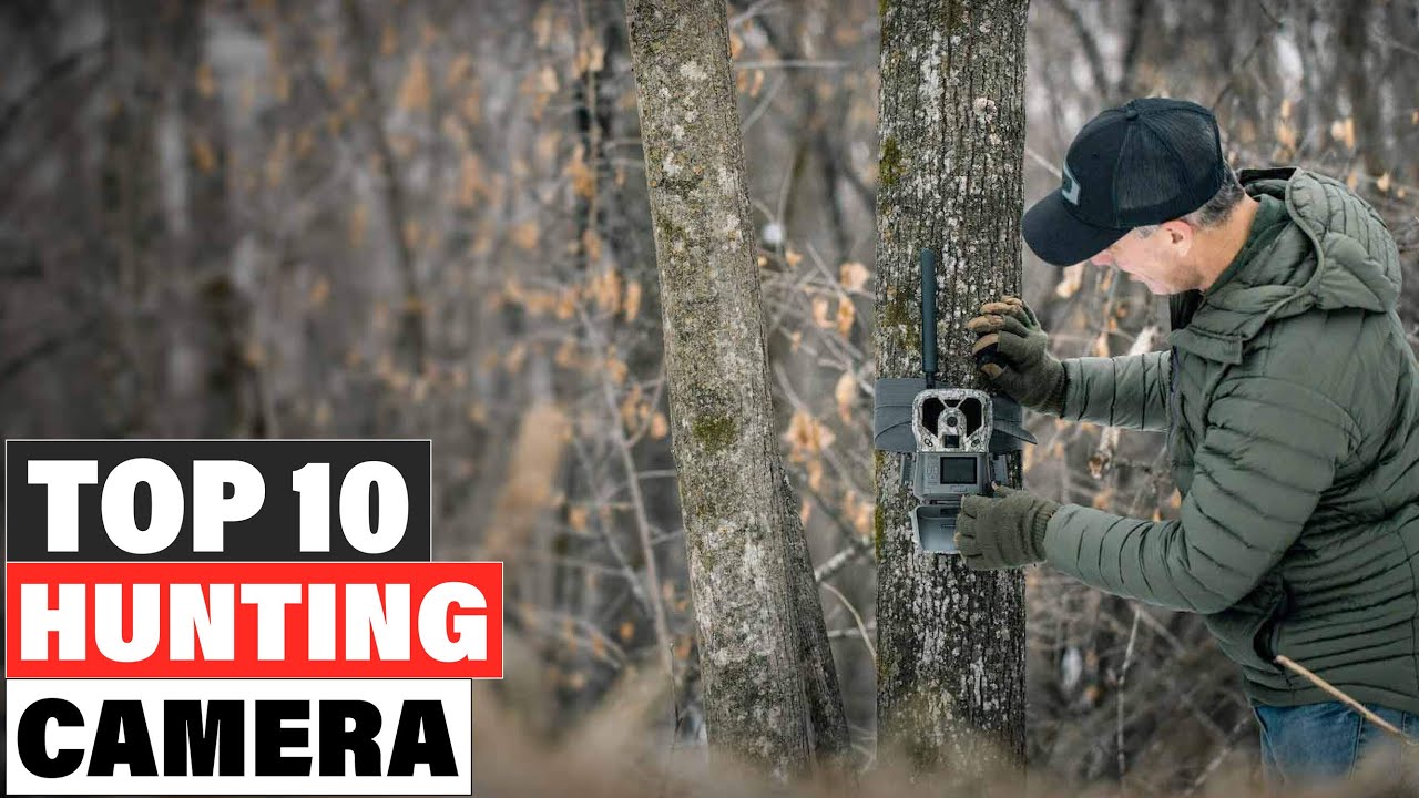 Best Hunting Camera 2025 [Top 10 Picks Reviewed]