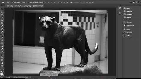 Adobe Bridge, Photoshop, InDesign basics