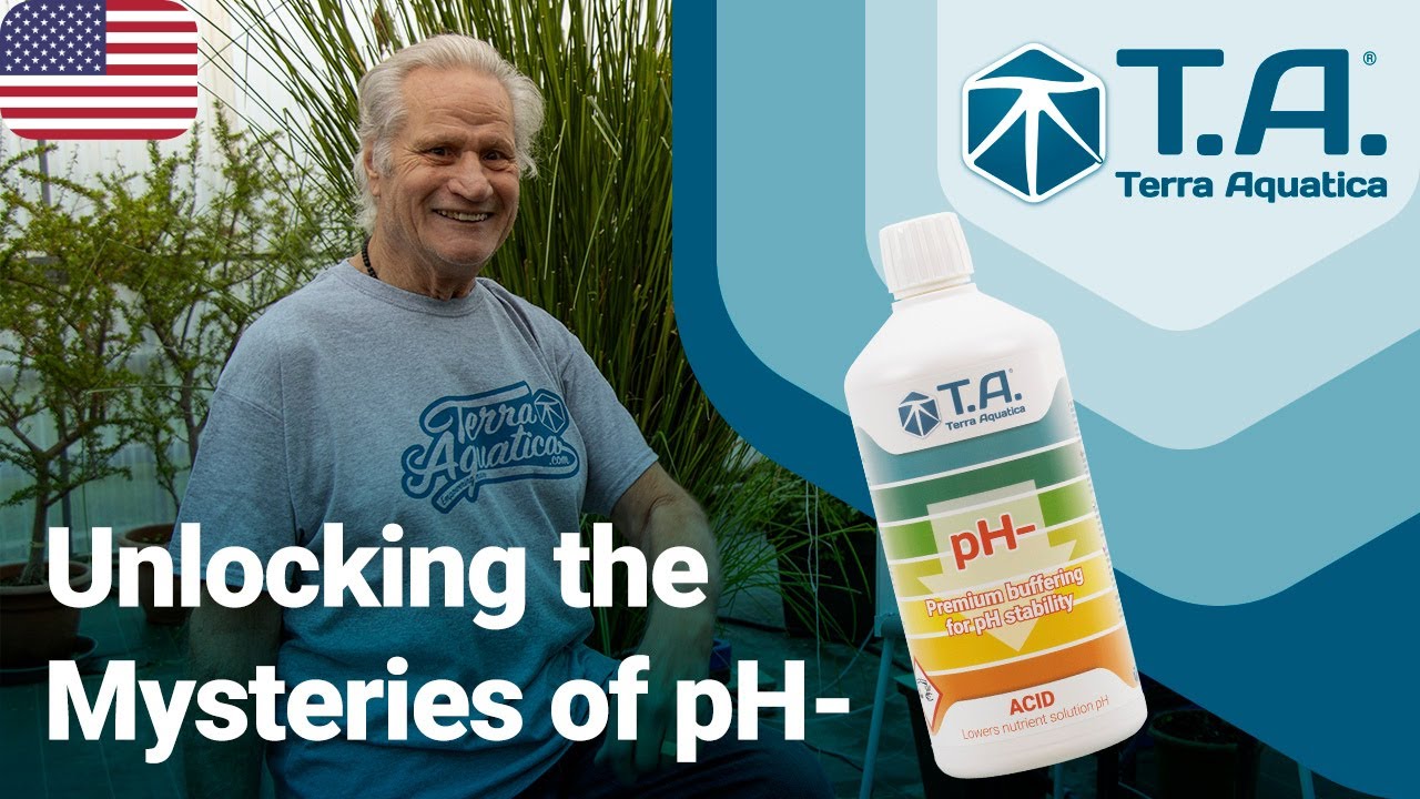 How to adjust water pH with pH Down? 💦 YouTube