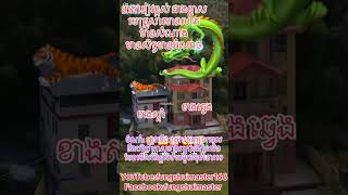 (ហុងសុយ​,feng shuiនាគខៀវខ្ពស់ជាងខ្លាស#មើលហុងស៊ុយ2025 #shortsvideo #shorts #short #shortsfeed