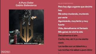 A Puro Dolor - Gabito Ballesteros (Letra)
