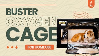 Buster Oxygen Cage for Home Use by Dr. Judy Morgan’s Naturally Healthy Pets 1,174 views 2 months ago 4 minutes, 57 seconds