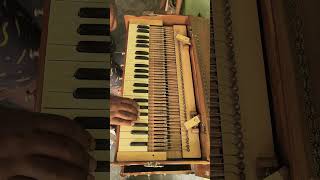3 lines Mohan Lal reeds harmonium for sale #shortsfeed #music #harmonium 7013501189