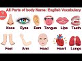 Parts of the Body in English | Parts of Body Name with Pictures | #bodyparts #englishvocabulary Mp3 Song