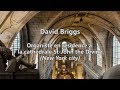 David briggs organ recital at saintsulpice