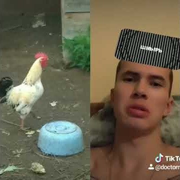 Кто ты по масти? - YouTube