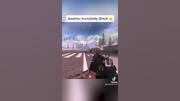 Invisibility Glitch on Warzone 😳