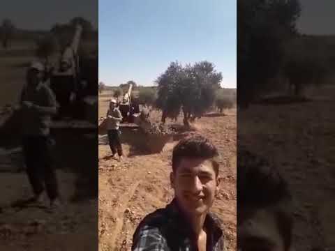 ألى من ينتظر سقوط الهيئة قد خسئتم