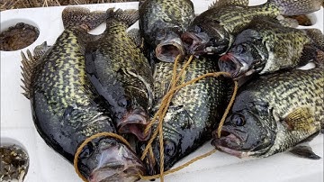 3 Quick TIPS for Spawning CRAPPIE