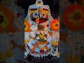 Jay Jagannath ⭕️‼️⭕️🙏🏻🦚🪈 #cuttack #bhubaneswara #love #song #shorts #tranding