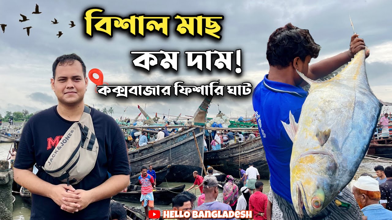 ভোরে কক্সবাজার ফিশারি ঘাট | টাটকা সামুদ্রিক মাছ , অবিশ্বাস্য দাম | Cox's Bazar Fish Market 2025