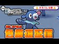 【生放送】#2　アシマリ色厳選LIVE　♀色証狙います【SV】