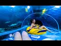 Scary SHARK Slide at Aquapark Reda in Poland [Full Ride with Wild River]