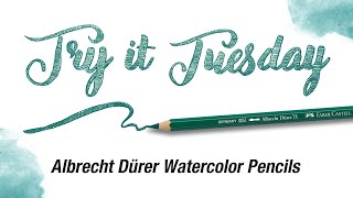 Try It Tuesday | How to Use Albrecht Dürer Watercolor Pencils | Faber-Castell