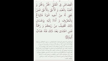 سوره بقره آیه ۱۷۷با معنی گویا گوارای وجودتان #قرآن #قران_كريم #قران #قرآن_كريم #youtube