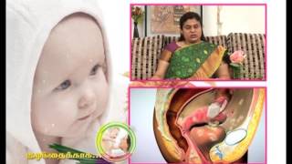 Best IUI treatment centres  in Chennai India - ARC Fertility Tamil Nadu