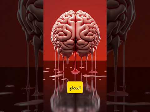 ماذا يحدث لجسمك لو تناولت المكسرات مع العسل الحر يوميا