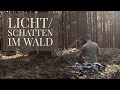 Licht und Schatten in einem Wald fotografieren